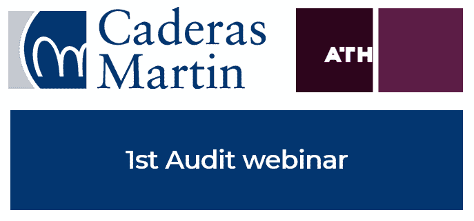 Participation in the 1st Audit webinar on 13 May