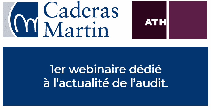 Participation au 1er webinaire Audit le 13 mai